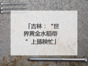 吉林：“世界黄金水稻带”上插秧忙